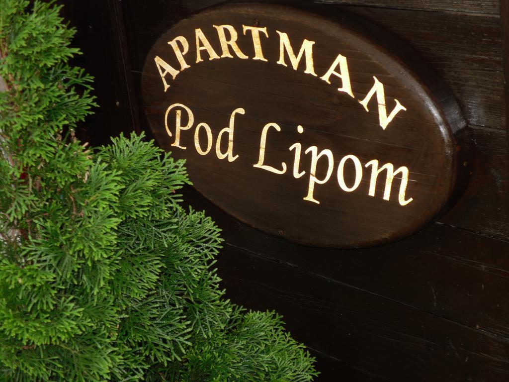 Apartment Pod Lipom Roč 部屋 写真